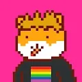 32x SHIBAS