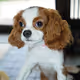 ART adventure of a dog!