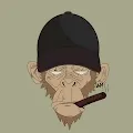 gg cool monkey club