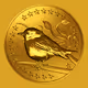 Birds And Coin (B&C)