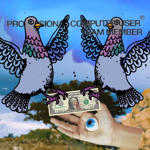 Street Birds & Bills