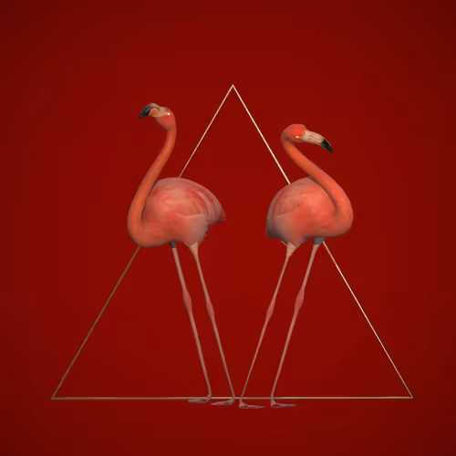 Artifex - Gavin Shapiro