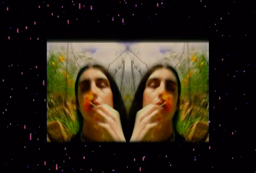 Allure of the Poppy by Anna Luisa Petrisko