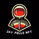 JAY PELLE - NFT COLLECTION