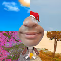 MisterKonggy - The Four Seasons Collection