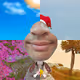 MisterKonggy - The Four Seasons Collection