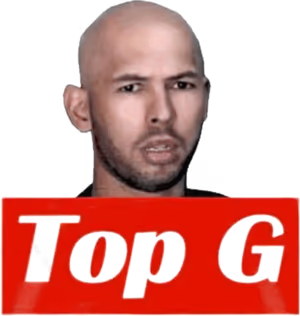 TOPGcollection