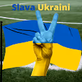 Slava Ukraini #277584365