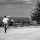 Humanized Landscapes