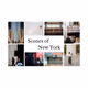 Scenes of New York - trxnt