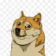 DREAM DOGEs.