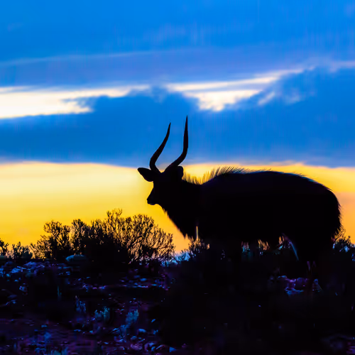 My Photos all around the world.