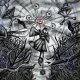 TRANSIENCE OF TRANSCENDENCE