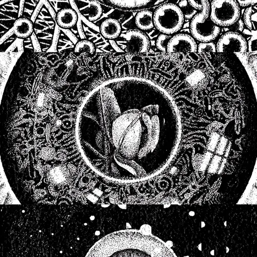 Jake Fried: Open Eyes (Flower)