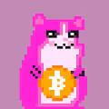 CryptonHamsters