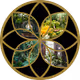 Dream Gardens