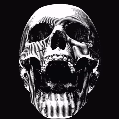 __TRANSCEND__SKULLS__