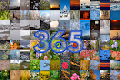 Only one day of the 365