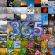 Only one day of the 365