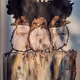In the Afro jungle