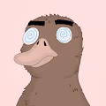 Hypnoduckz