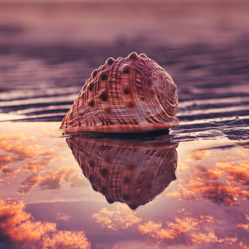 LePro Photo Editions