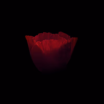 Ruby by Micca
