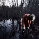 Portraits by Franki - old