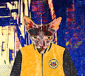 Rapz Original Art Ryoshi's Guard MusicNFTs 6000x4000px and 4000x4000px (SIGNED BY RAPZ REAL NAME)