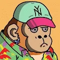 Cool Kongs