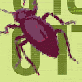 The Dev and The Bug
