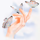 The Language of Hands  Feet