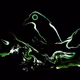 Raven's Prophecy - old