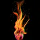 Burning Hearts 1