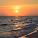 Summer Rays