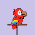 PixelParrots