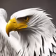 Fighting Eagle