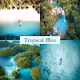 Tropical Bliss - old