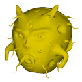 BOBOMIND 3D