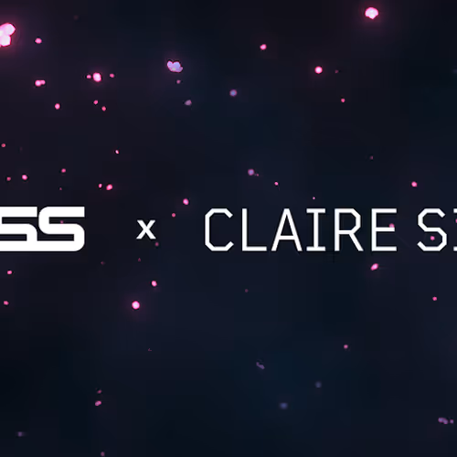 RSTLSS x Claire Silver: Pixelgeist