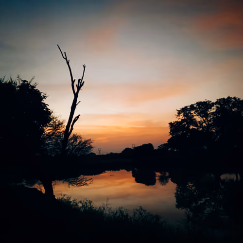 treasure by me