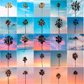 Palm Tree Squad