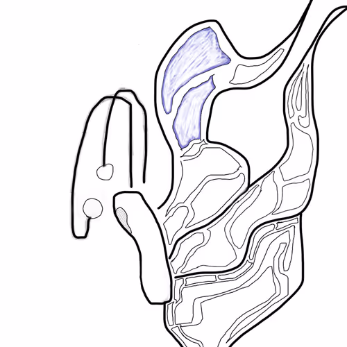 L I F E S   A   B U T T E R F L Y