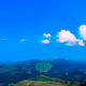 Wild Blue