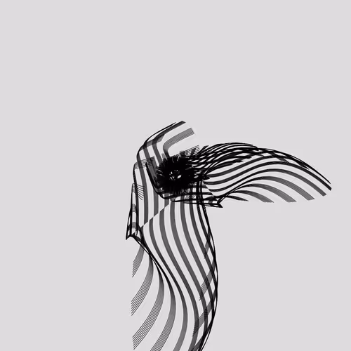 ANATOMY of a rabbit but bird by Iskra Velitchkova