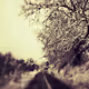Dark side of the snow