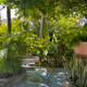 Backyard photos