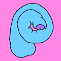 Peen Pals - old