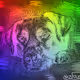 DigiDawg