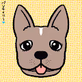 Frenchie Ro-se - old